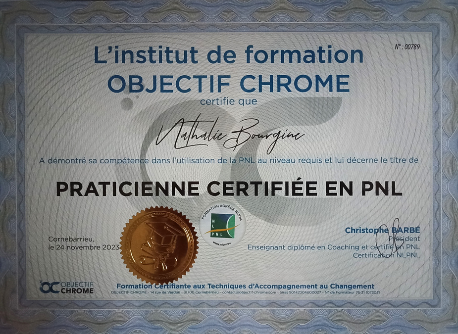  les potentiels sont libérés. les protocoles PNL permettent aussi bien un épanouissement personnel et professionnel. des stratégies spécifiques pour vous aider à surmonter les obstacles, atteindre vos objectifs et créer des résultats durables 